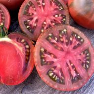 First Mate - beefsteak tomato - 15 seeds