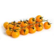 Orange wild tomato (Aurantiacum) - 25 seeds