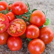 Roșii cherry soiul „ABC Potato-leaf” - 15 semințe