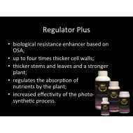 CROWN Russian Gold 250ml.