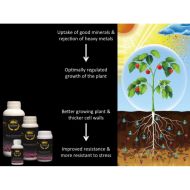 CROWN Russian Gold 250ml.