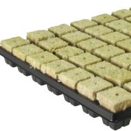 Grodan Tray 77 plugs