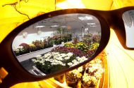 LUMii Growroom Lenses