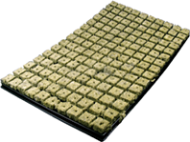 Grodan Tray 77 plugs