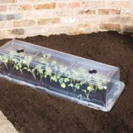 Coperta Stewart Essentials Propagator