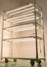 Corp de iluminat Newlite LED IndoorLed C 225P 100W