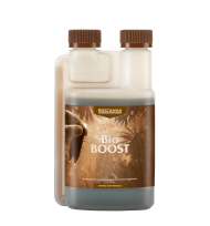 BIOCANNA BioBOOST 250 ml